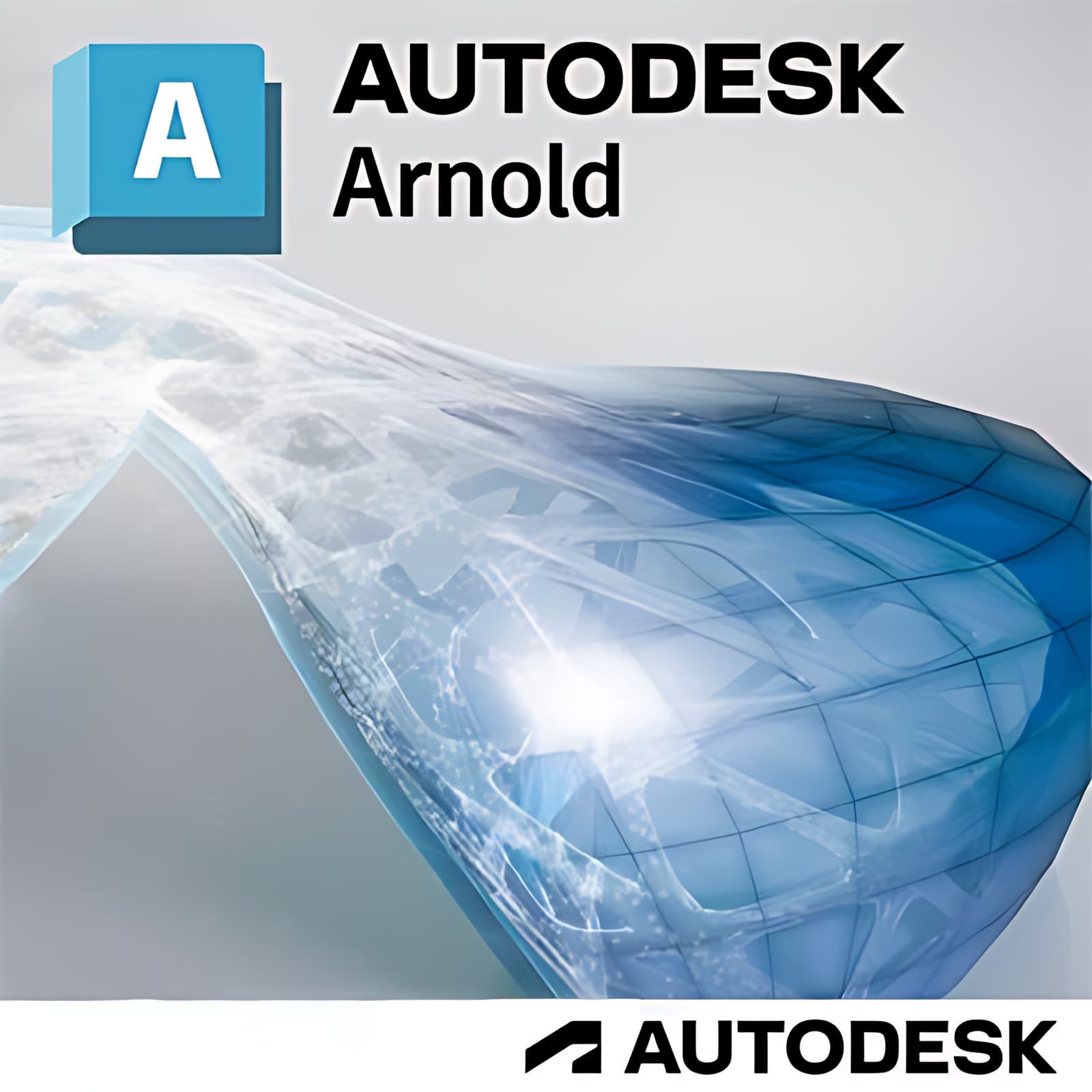 AUTODESK ARNOLD -1 ГОДИНА - 1 PC  windows/mac